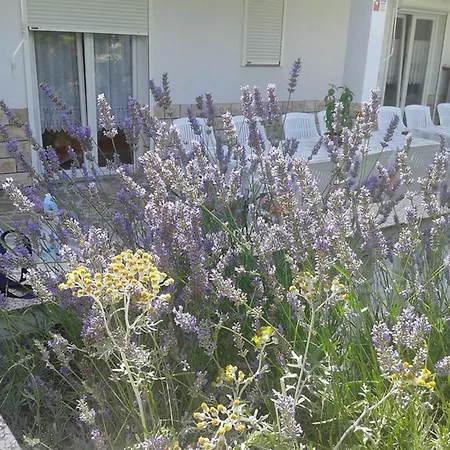 Mile Excellent Location Close To Rab *